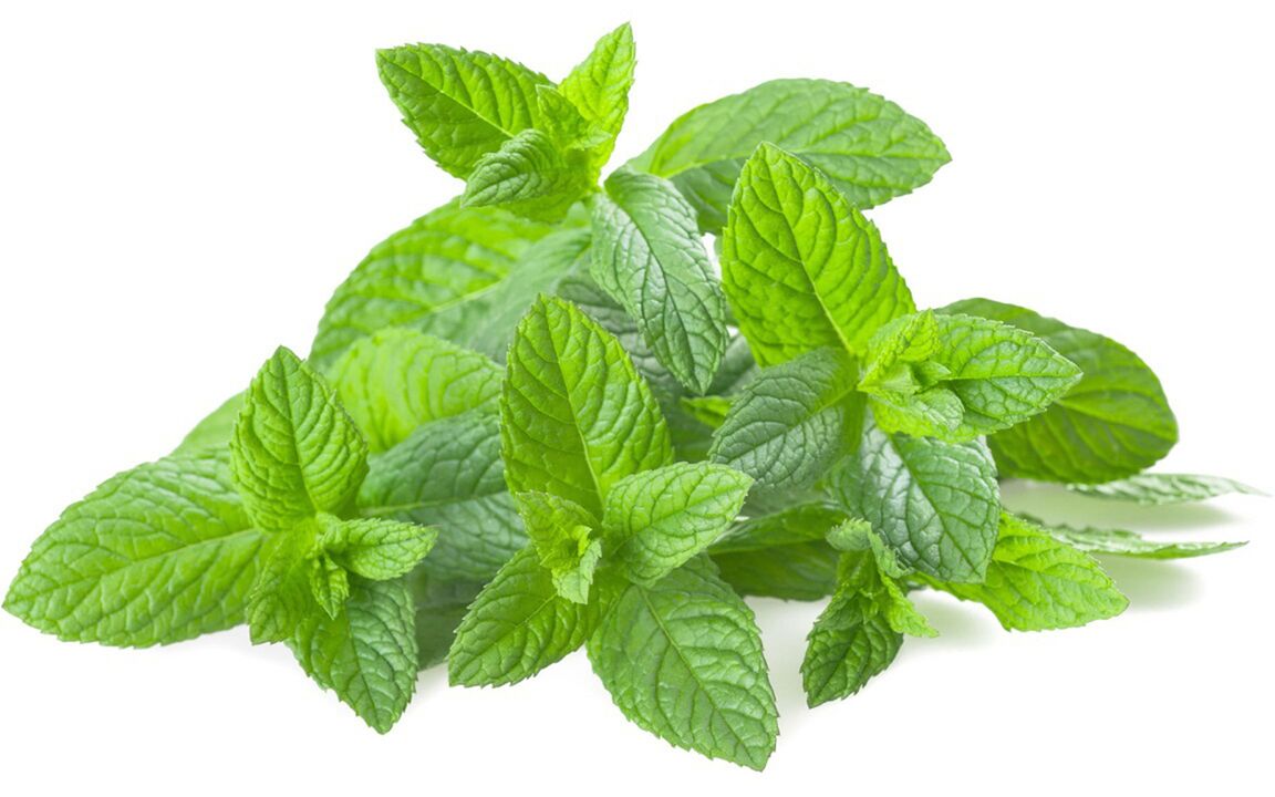 Huile de menthe à Hondrolife