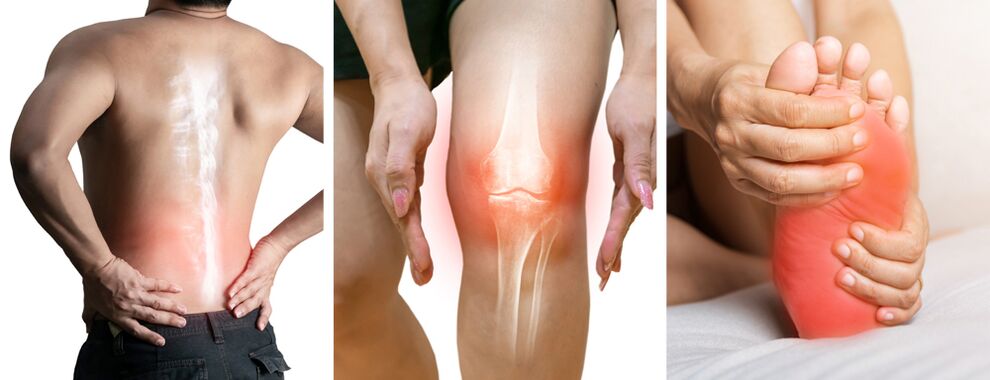 Traitement de la douleur dans les articulations de Hondrolife